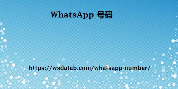 WhatsApp 号码