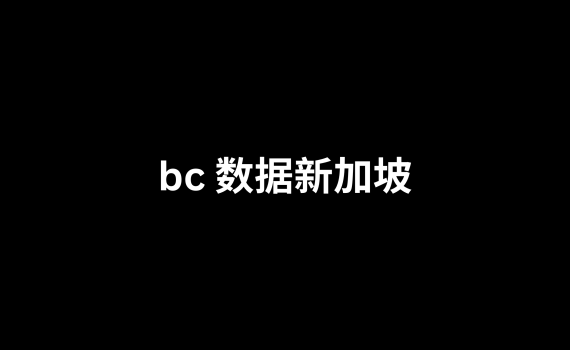 bc 数据新加坡